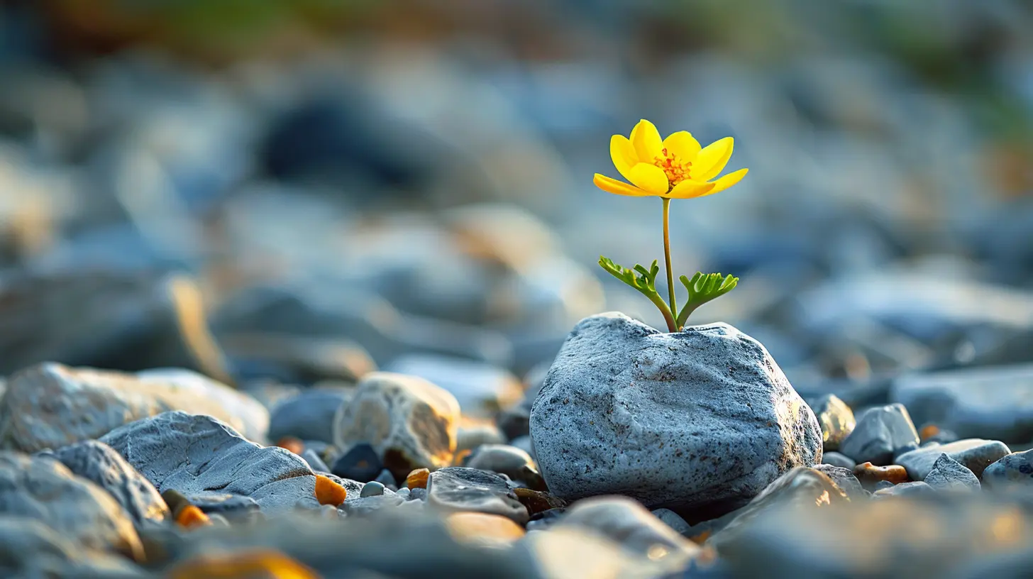 Building Happiness: The Power of Small, Intentional Actions