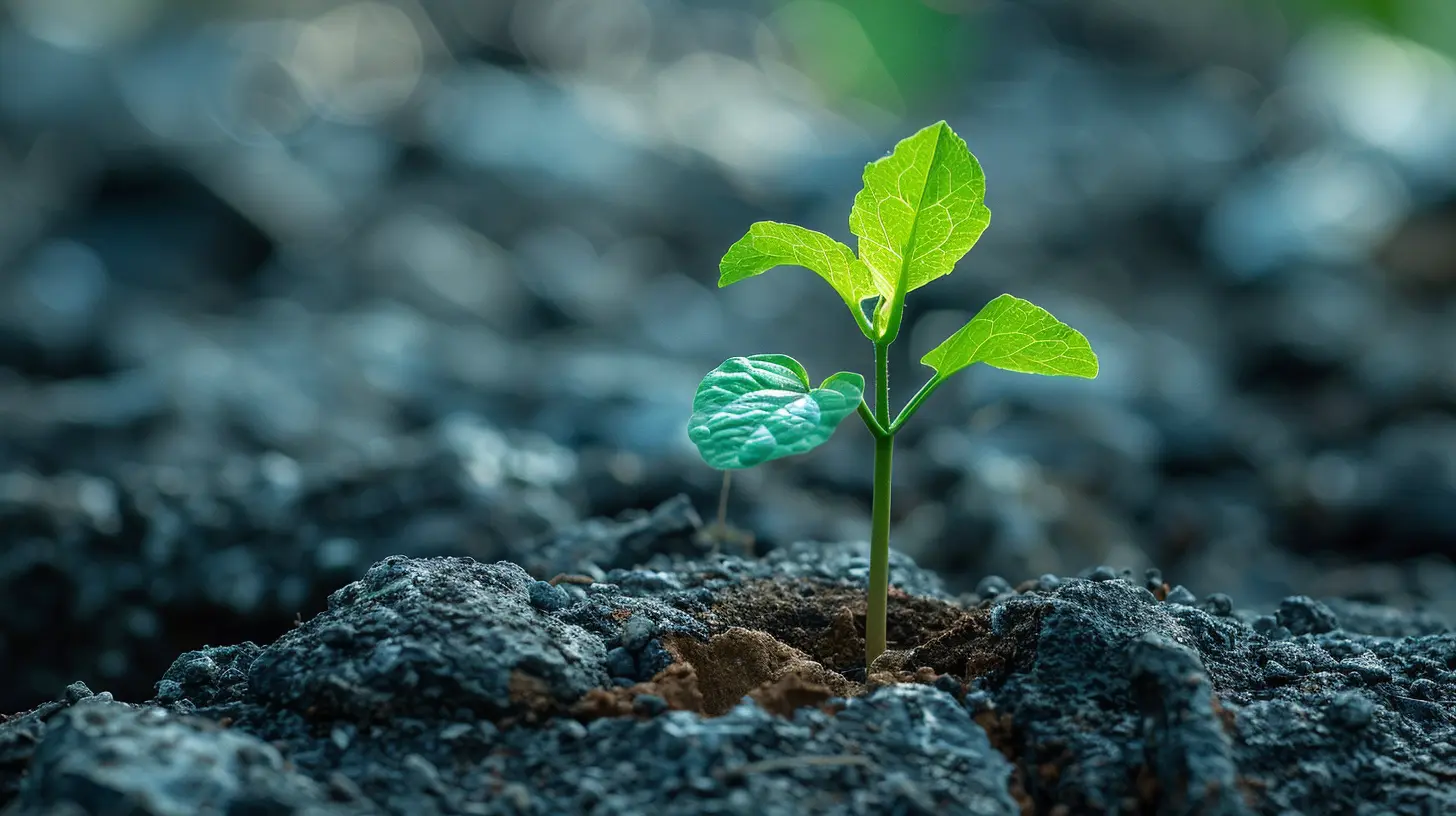 The Role of Purpose in Sustaining Long-Term Motivation