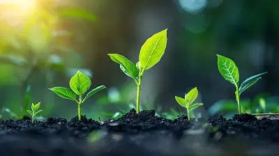 How to Cultivate a Growth Mindset in the Workplace