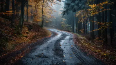 The Stages of Healing: A Roadmap for Trauma Recovery