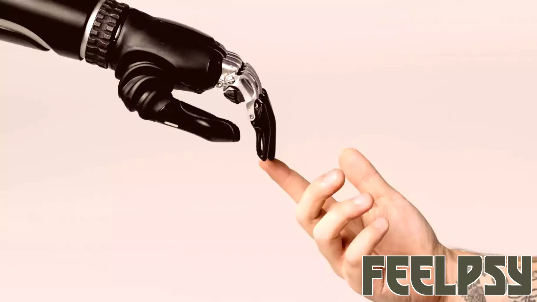 Embracing a Future with Conscious AI