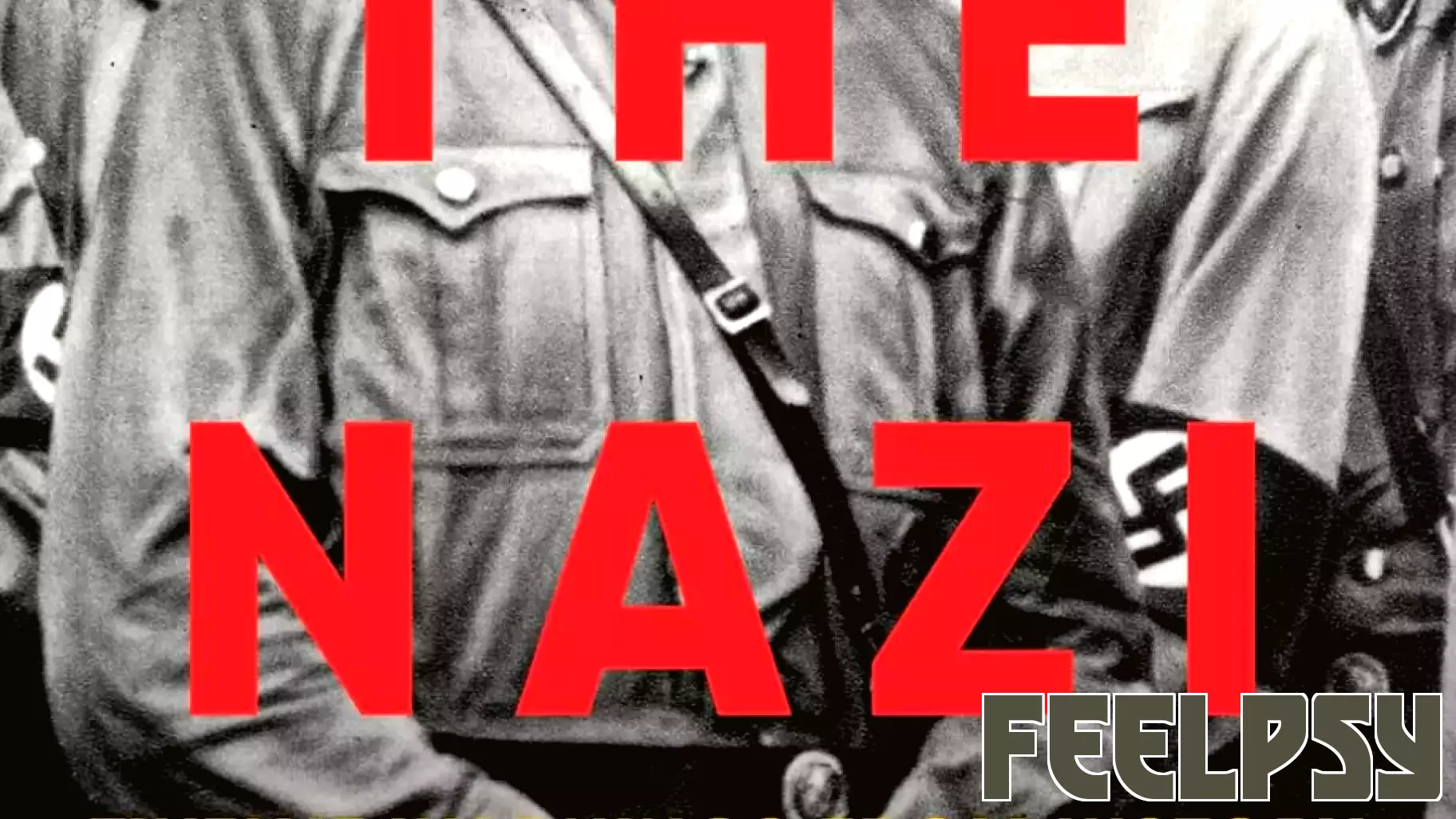 Exploring the Psychological Landscape of Nazi Ideology