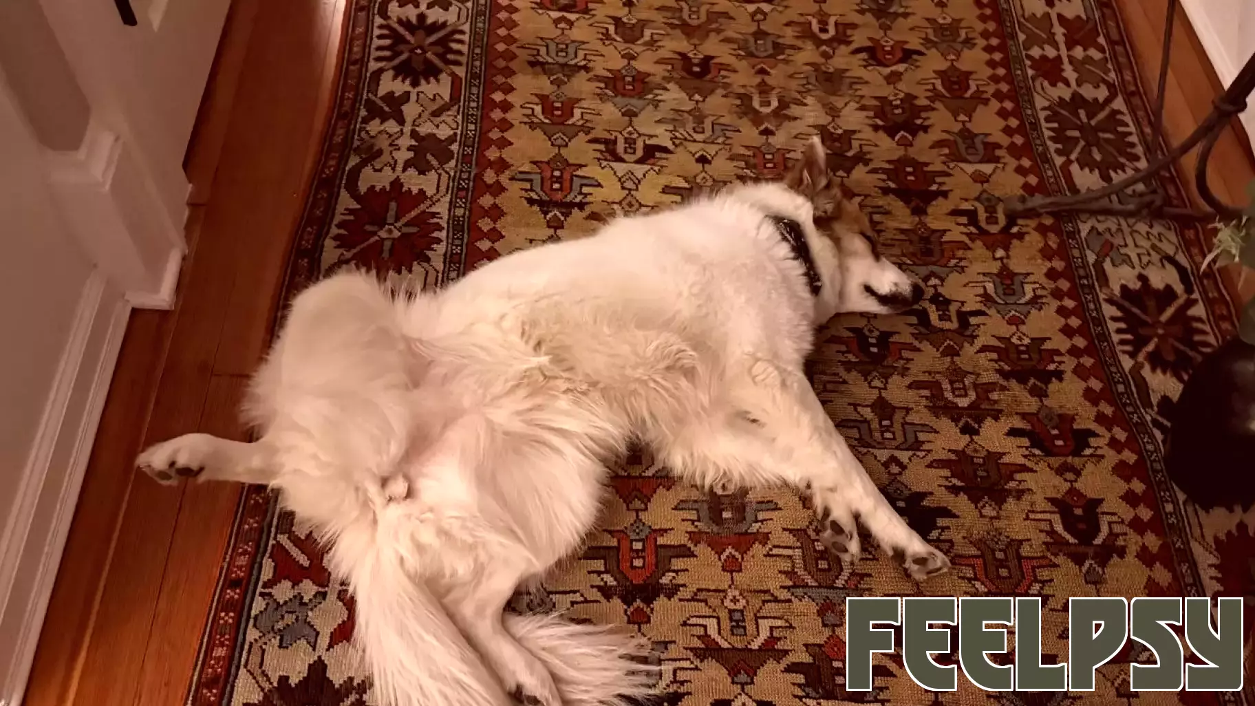 Learning to Reveal Our Unlovable Parts