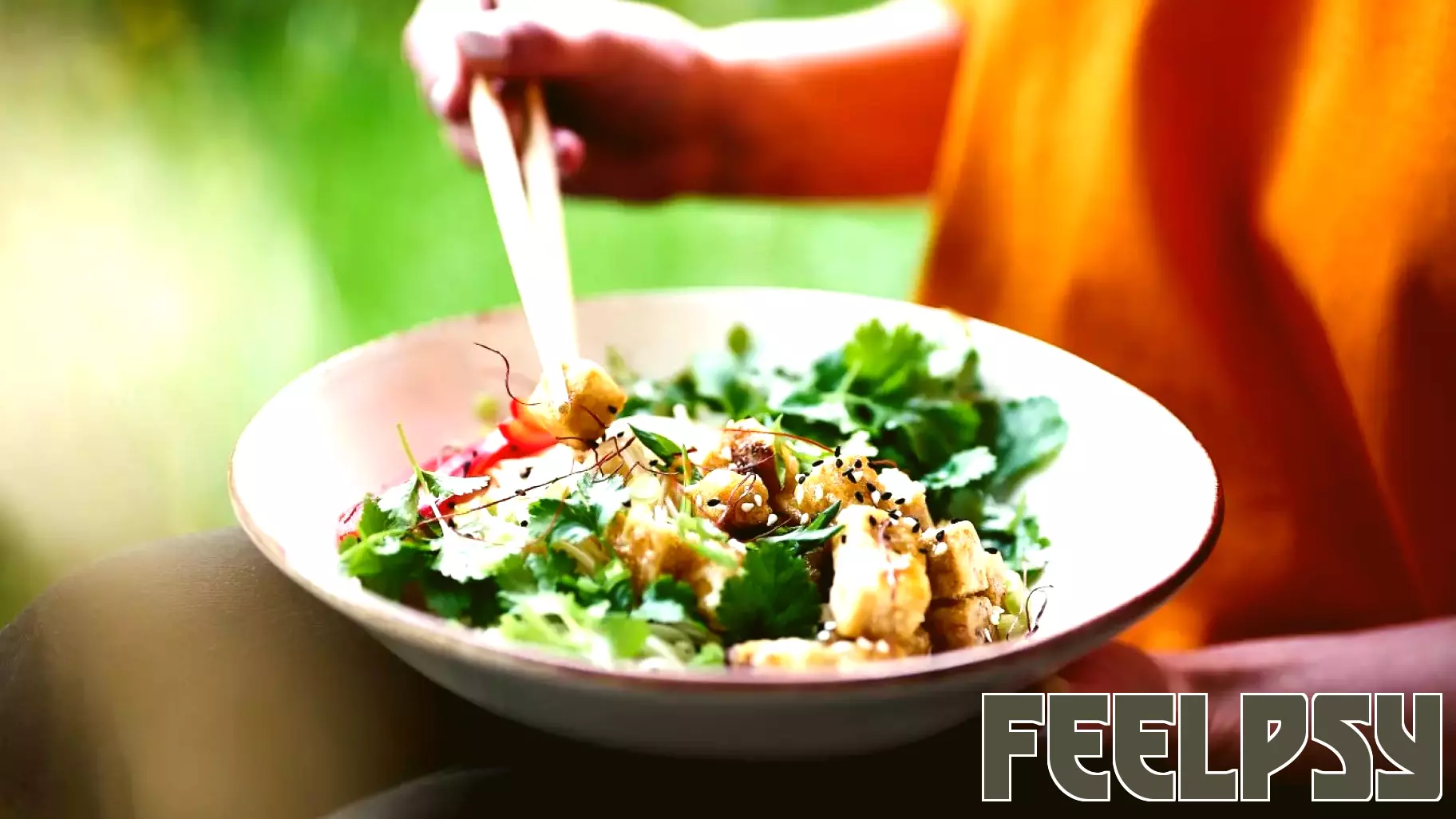 Not All “Plant-Based” Diets Are Equal for Brain Health