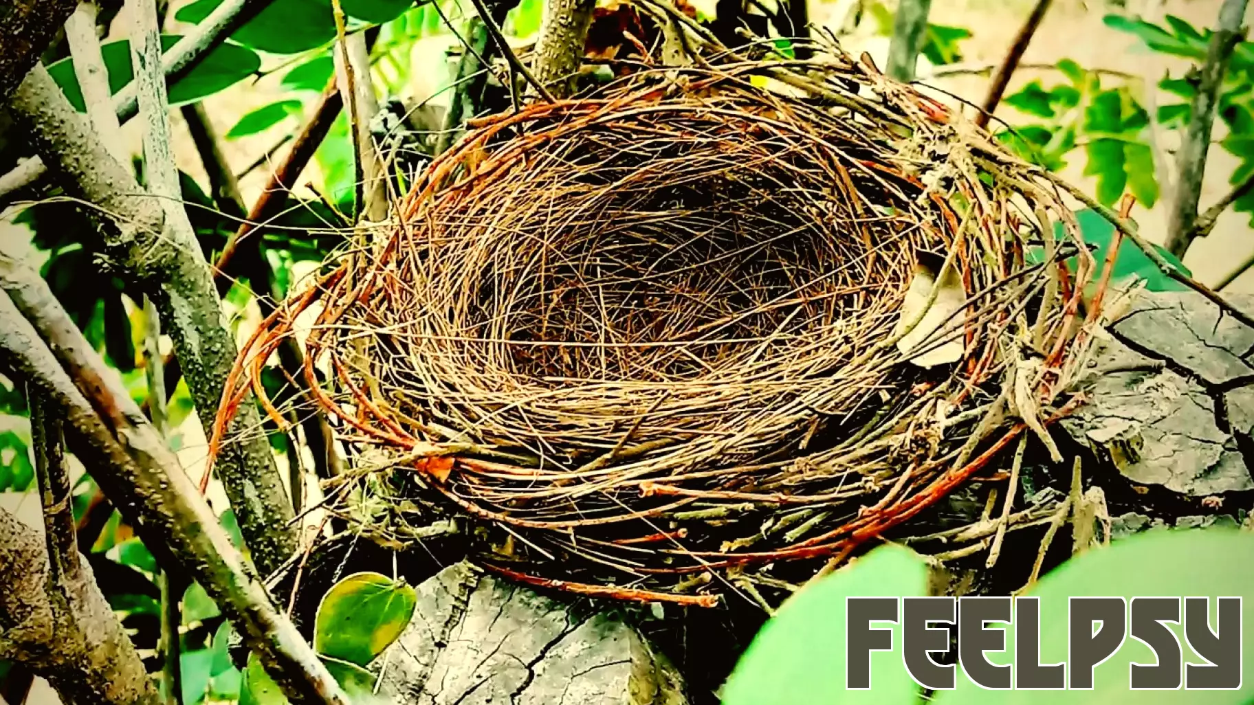 Personal Perspective: Embracing the Transition from