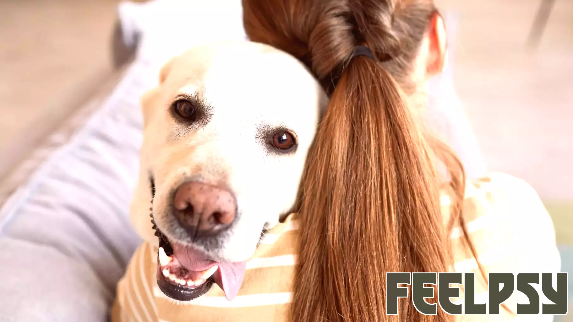Psychology says people who accumulate five or six nicknames for a single pet aren't eccentric or overly attached — they're using the same kind of playful private language humans often develop in their closest emotional relationships