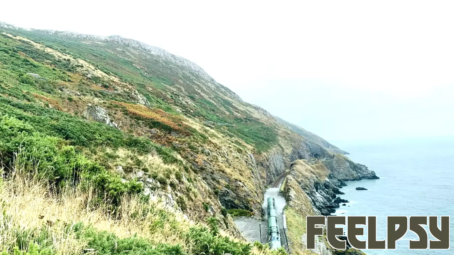 The Benefits of Outdoor Exercise on Mental Health