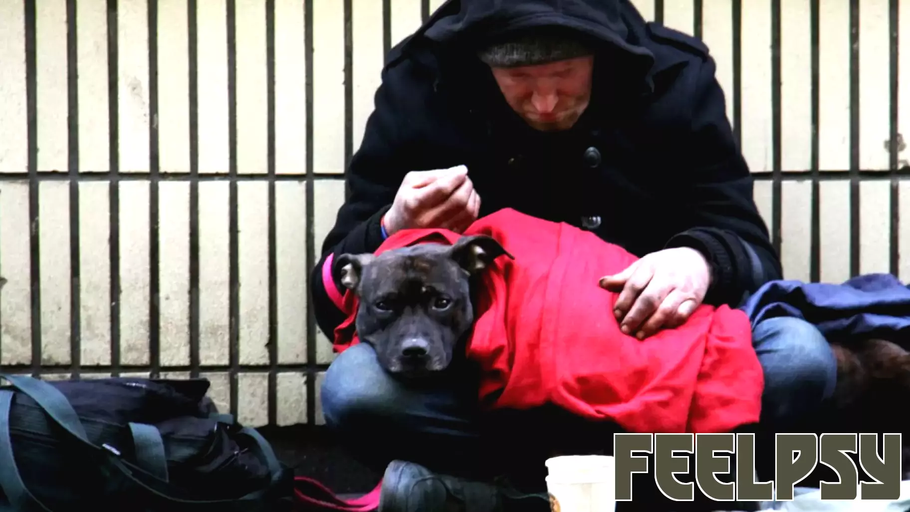 The Power of Stable Housing in Combating Homelessness