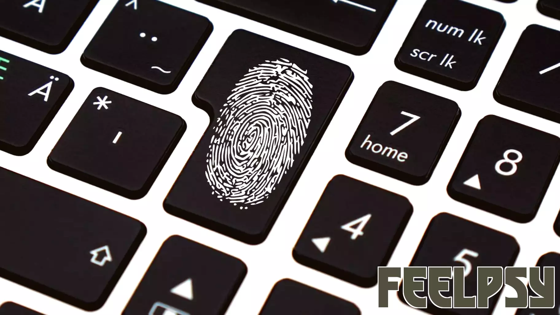The Rise of the Cognitive Fingerprint in an Age of AI Answers
