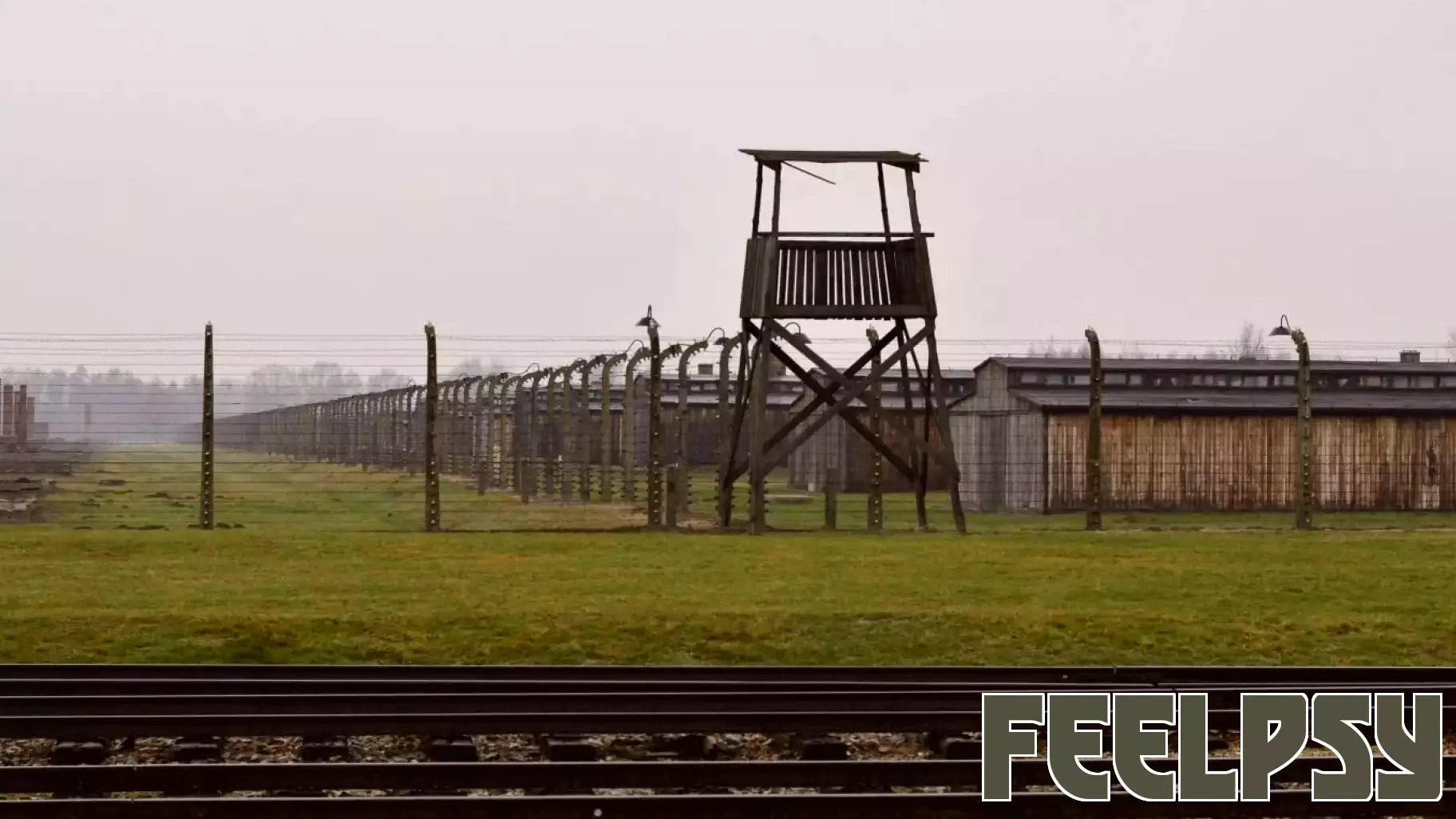 When Music Was Used to Deceive, Control, Survive