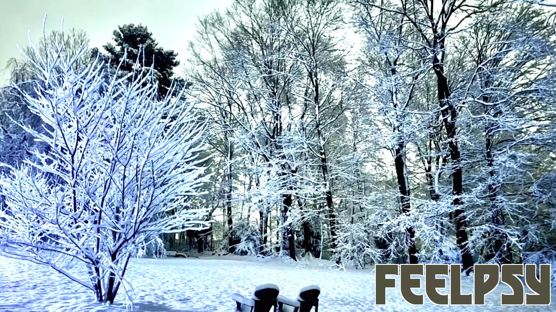 Wisdom from the Heart of Grief: What Truly Helps and What Hurts