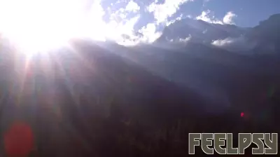 Exploring the Advantages of Sunlight Exposure