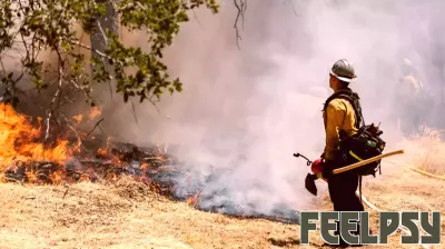 Healing Together: The Impact of Community Grief After the LA Wildfires