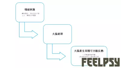 HKU Psychology Research Unveils Mechanisms Behind Emotional Experiences