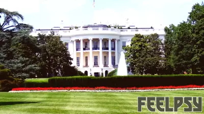 I'm Not a President, but I Play One on TV