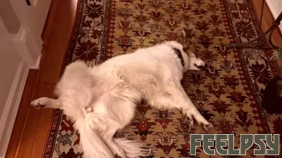 Learning to Reveal Our Unlovable Parts