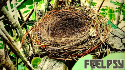 Personal Perspective: Embracing the Transition from 