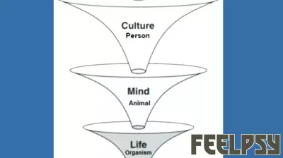 Rethinking the Dynamics of Sex, Gender, and Culture