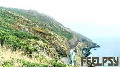 The Benefits of Outdoor Exercise on Mental Health