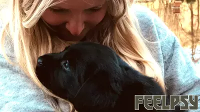 The Comfort and Calm Animals Bring to Our Lives