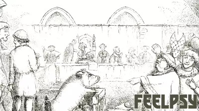 The Evolution of Animal Law: Progress and Challenges