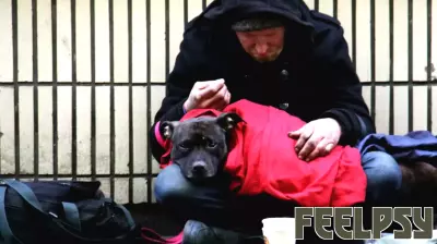 The Power of Stable Housing in Combating Homelessness