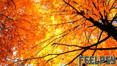 The Surprising Connection Between Autumn and Increased Dopamine Levels
