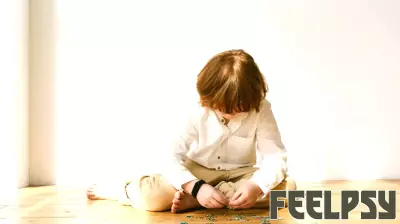 Understanding the Established Causes of Autism
