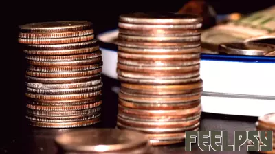 Understanding the Impact of Cultural Defaults on Financial Stability