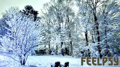 Wisdom from the Heart of Grief: What Truly Helps and What Hurts